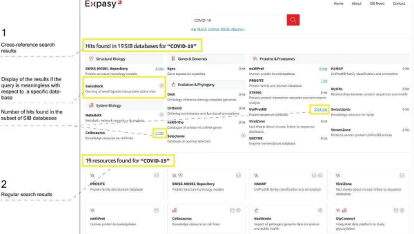 服务器选择攻略详细解读：匹配网站 SEO 需求